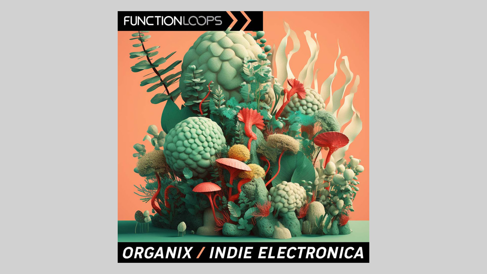 Function Loops Sets Free Organix: Indie Electronica Sample Pack